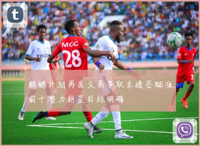 鹈鹕计划再度交易争取乐透签瞄准前十潜力新星目标明确